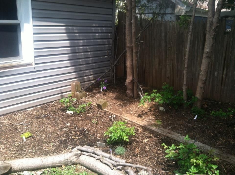 photo 1613867_10152103596432285_2879881324616905878_n.jpg